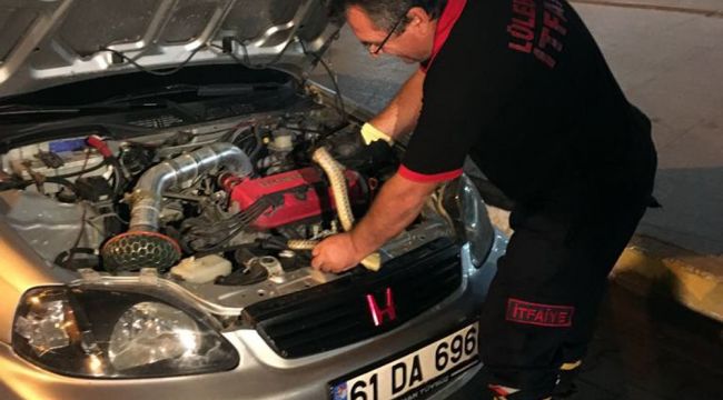 Otomobilin motorundan yılan çıktı