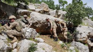 PKK'ya ait mühimmatlar toprağa gömülü halde ele geçirildi