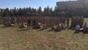 Siirt'te Mehmetçik için kurban kesildi