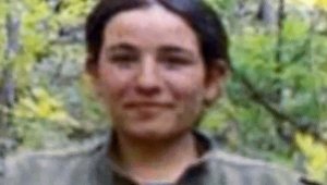Tunceli'de 4 terörist öldürüldü