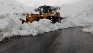 Van-Bahçesaray karayoluna çığ düştü