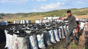 Zorlu şartlar altında mangal kömürü üretiyorlar