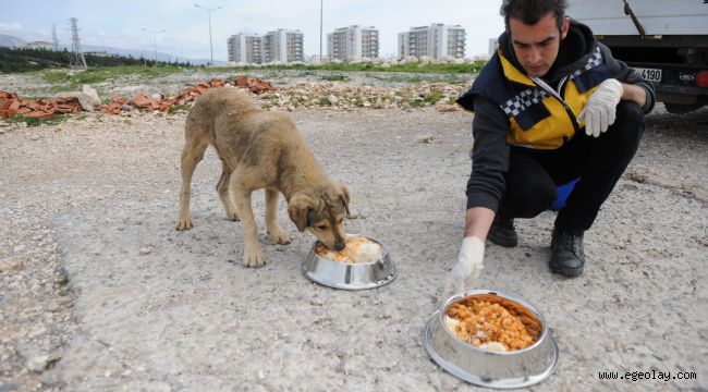 Buca'da can dostlarına su ve gıda desteği
