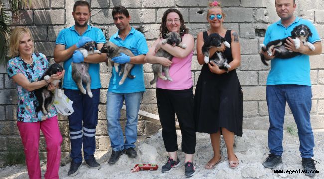 Konak'ta Can Dostlar Emin Ellerde