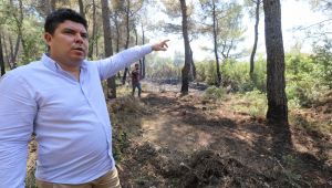 Başkan Kılıç'tan uyarı: Ormanlarımızı yangınlarla heba etmeyelim 