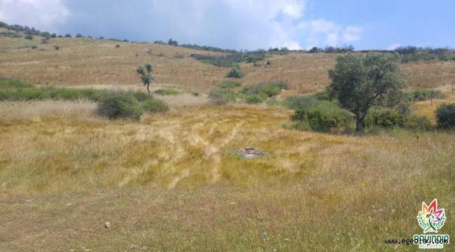 Bayındır'da Güneş Enerjisi Santrali Çalışmaları Başlıyor
