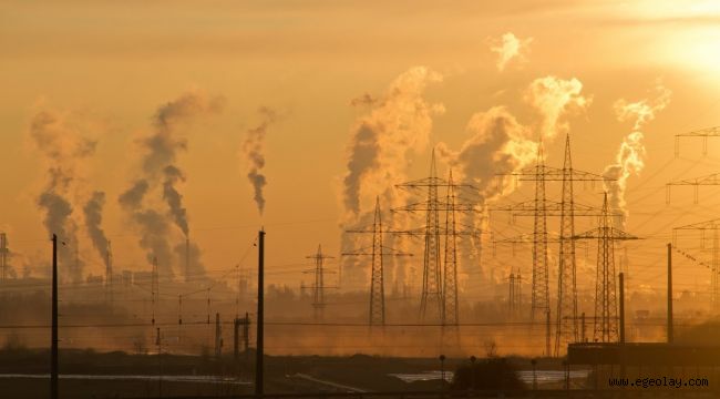 Karbon vergisine şartlı destek: Paranın nereye harcanacağından emin değiller