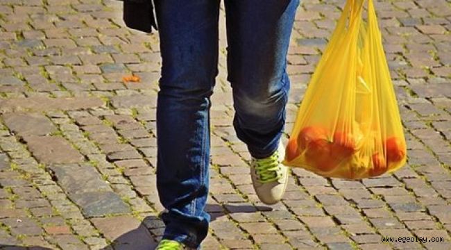 Almanya plastik poşetleri yasaklıyor