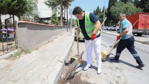 Başkan Kılıç eline süpürgeyi aldı, vatandaş şaşırdı kaldı