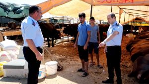 Bayraklı Belediyesi Kurban Bayramına Hazır