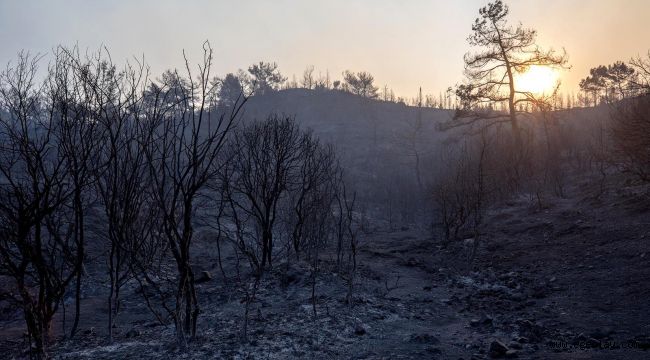 CHP İzmir Milletvekilleri İzmir Yangını İçin Meclis Araştırması İstedi