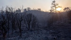 CHP İzmir Milletvekilleri İzmir Yangını İçin Meclis Araştırması İstedi