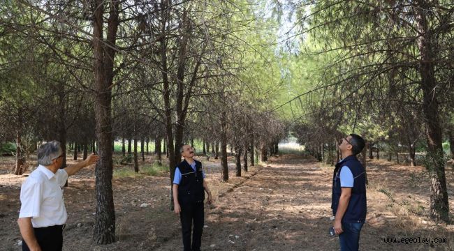 EÜ Ormanı Bilimsel Yöntemlerle Rehabilite Ediliyor