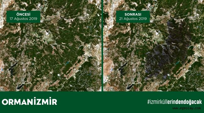 İzmir'deki yangında Karşıyaka ilçesi büyüklüğünde bir orman alanının yandığı tahmin ediliyor