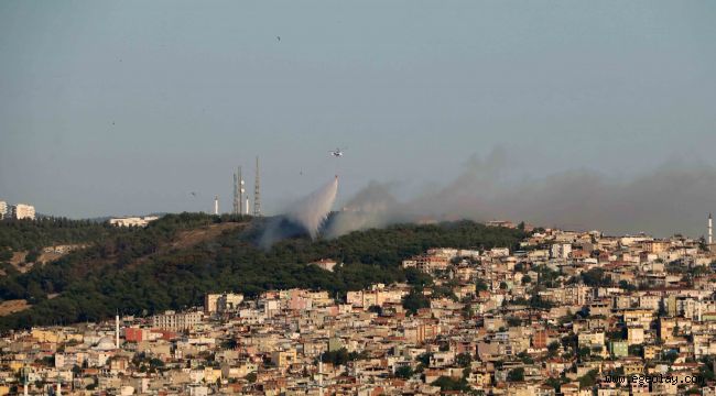 İZSİAD'dan İzmir'e fidan kampanyası