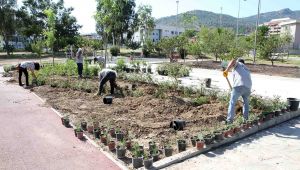 Karşıyaka'da park hamlesi