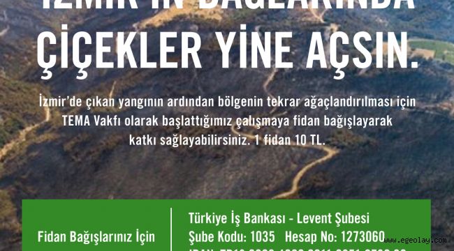 TEMA Vakfı: İzmir için fidan bağışlarınızı bekliyoruz