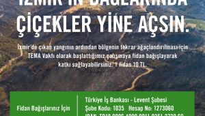 TEMA Vakfı: İzmir için fidan bağışlarınızı bekliyoruz