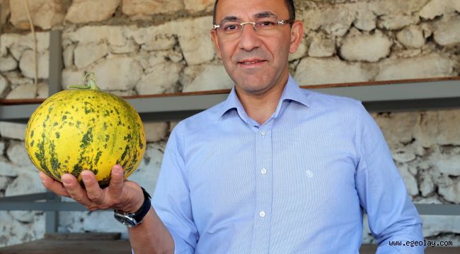 Urla'da kavun festivali yarın başlıyor