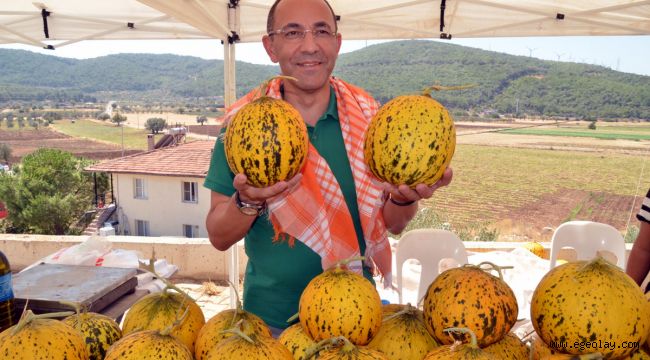 Urla, "Sarı kokulu" festival ile coştu