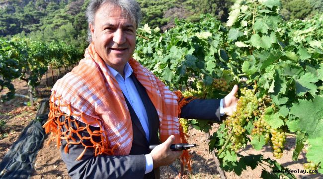 Başkan İduğ: "Tarımsal değerlerimizi yaşatmak görevimiz"