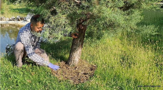DEÜ'de Organik Atıklar Bitkilere Can Veriyor