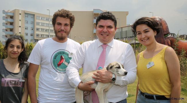 FestPati Buca ile hayvan haklarına dikkat çekilecek