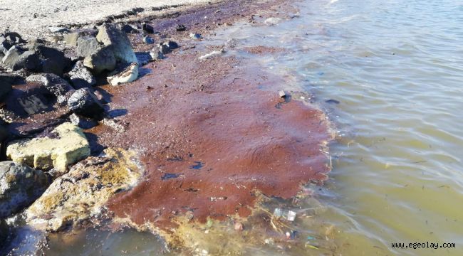 İzmir'de Fuel Oil Sahile Vurdu