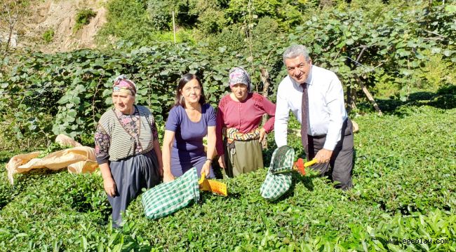İzmir Milletvekili Bedri Serter: "Rize halkının "çayımıza dokunmayın" çağrısını duyun" 