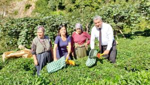 İzmir Milletvekili Bedri Serter: "Rize halkının "çayımıza dokunmayın" çağrısını duyun" 