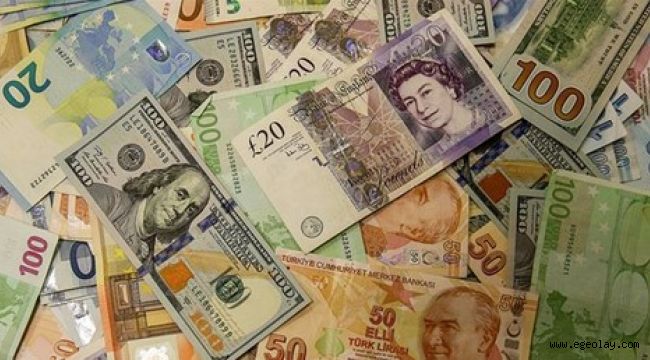 Milyonerler 7 ayda 83,4 milyar liralık döviz aldı