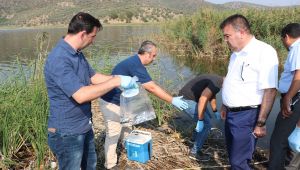 Selçuk'taki Balık Ölümlerinin Nedeni Araştırılacak