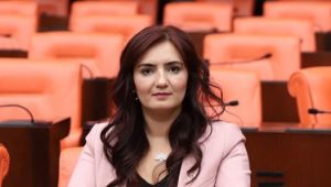 CHP'li Kılıç, "dekanı hukukçu olmayan hukuk fakültelerini" Meclis gündemine taşıdı 