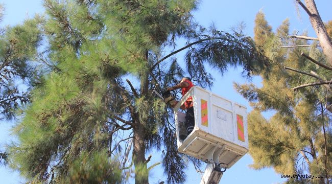Çiğli'de kış hazırlığı