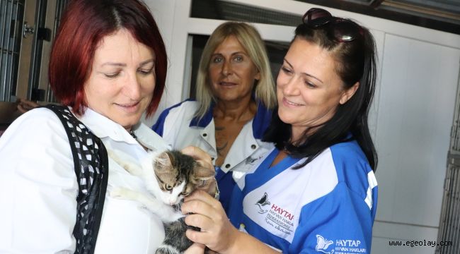 Karaburun'da havai fişek yok, kuşlar artık daha özgür
