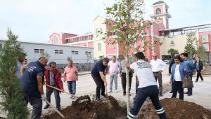 Karşıyaka Belediyesi'nden ağaçlandırma seferberliği