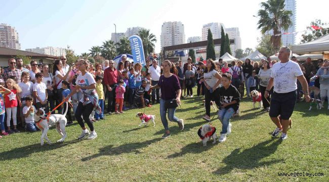 Narlıdere'de can dostlar için festival! 