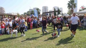 Narlıdere'de can dostlar için festival! 