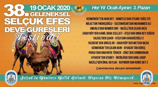 Selçuk'ta Deve Güreşleri İptal Edilsin!