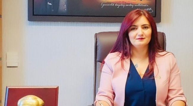 CHP'li Kılıç: "Tarım arazilerimizi jeotermale kurban etmeyin" 