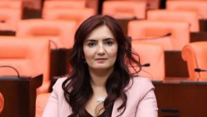 CHP Milletvekili Sevda Erdan Kılıç'tan Kongre Mesajı