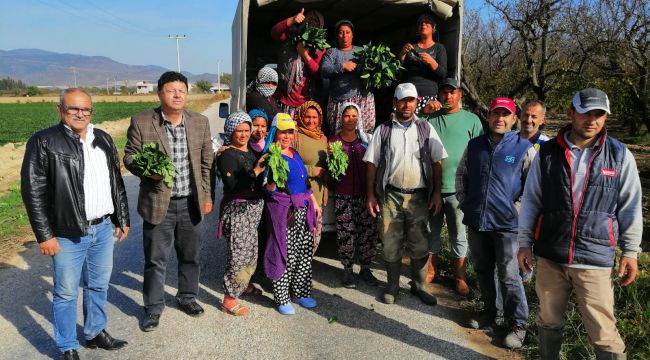 Menemen'den Ispanak Açıklaması