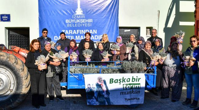 Büyükşehir Doğancılar'a 32 bin lavanta fidesi dağıttı 