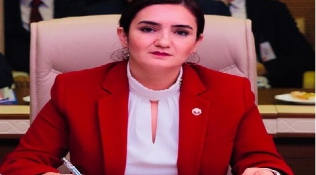 CHP'li Kılıç:"Komisyon diğer şüpheli çocuk ölümlerini de araştırsın"