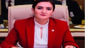 CHP'li Kılıç:"Komisyon diğer şüpheli çocuk ölümlerini de araştırsın"
