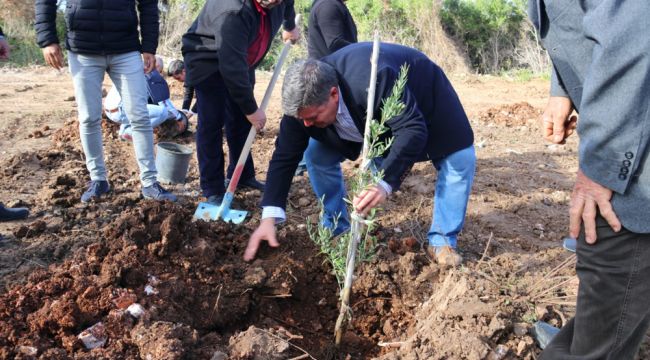Dünya Zeytin Günü Çeşme'de kutlandı 