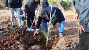 Dünya Zeytin Günü Çeşme'de kutlandı 