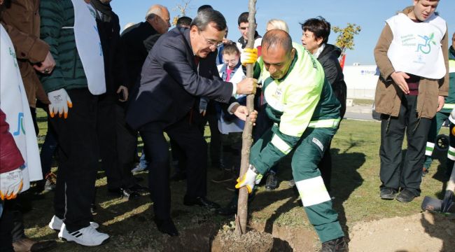 Engelsiz bir dünya için ağaç diktiler 