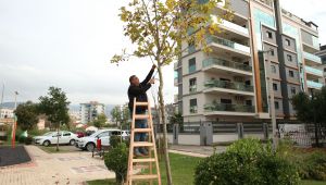 Çiğli Belediyesi'nden Çevre ve Halk Dostu Proje 