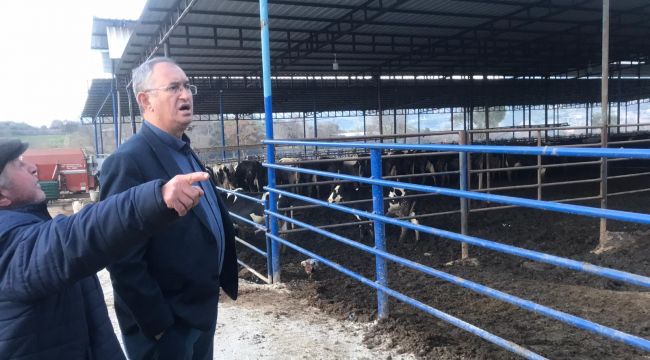 TİGEM'de Dikkat Çeken Hayvan Ölümleri!